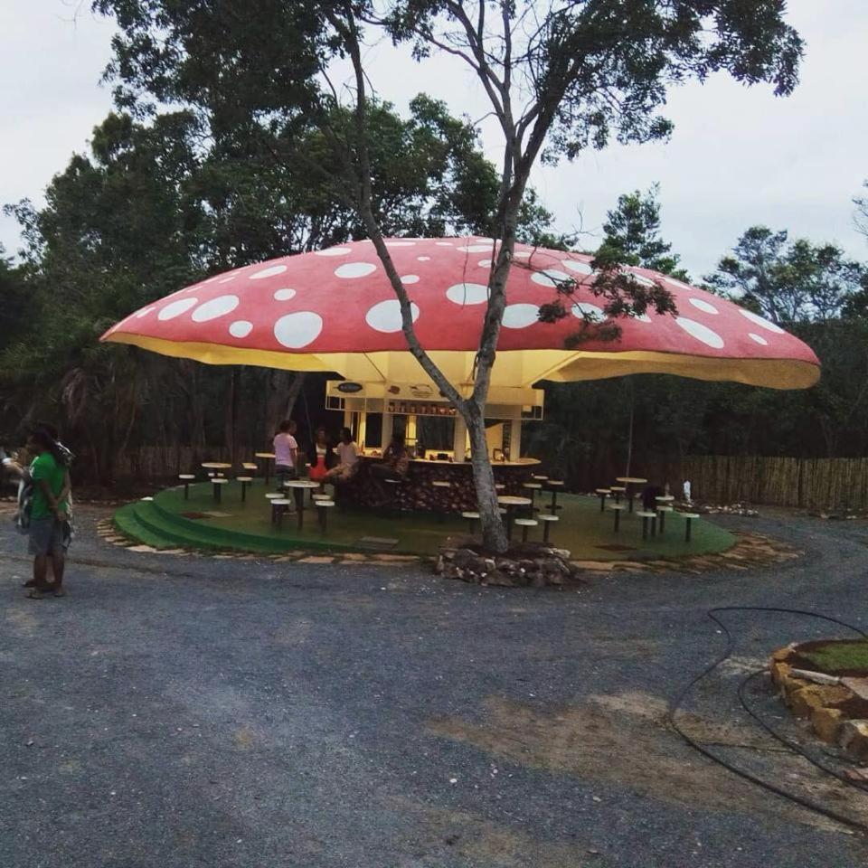 Riachinho Pousada Fazenda Vale do Capao Eksteriør billede