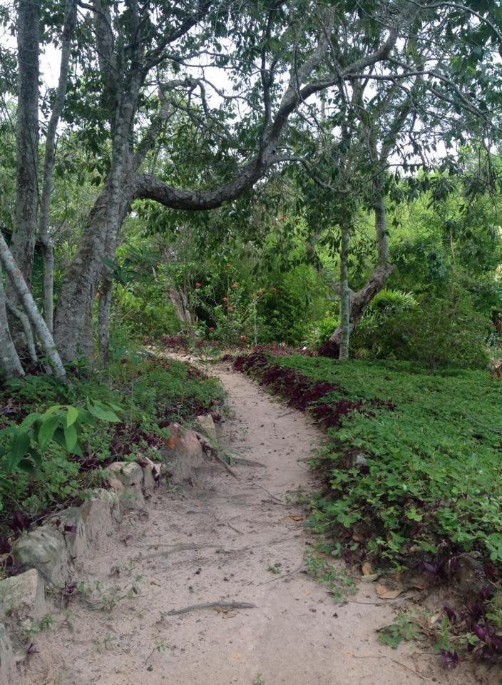 Riachinho Pousada Fazenda Vale do Capao Eksteriør billede